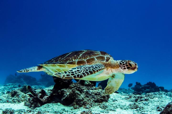 Why Paje Zanzibar beach view