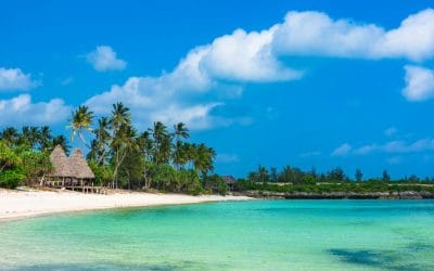 Top 8 Things to Do While Staying at Paje Villas, Zanzibar