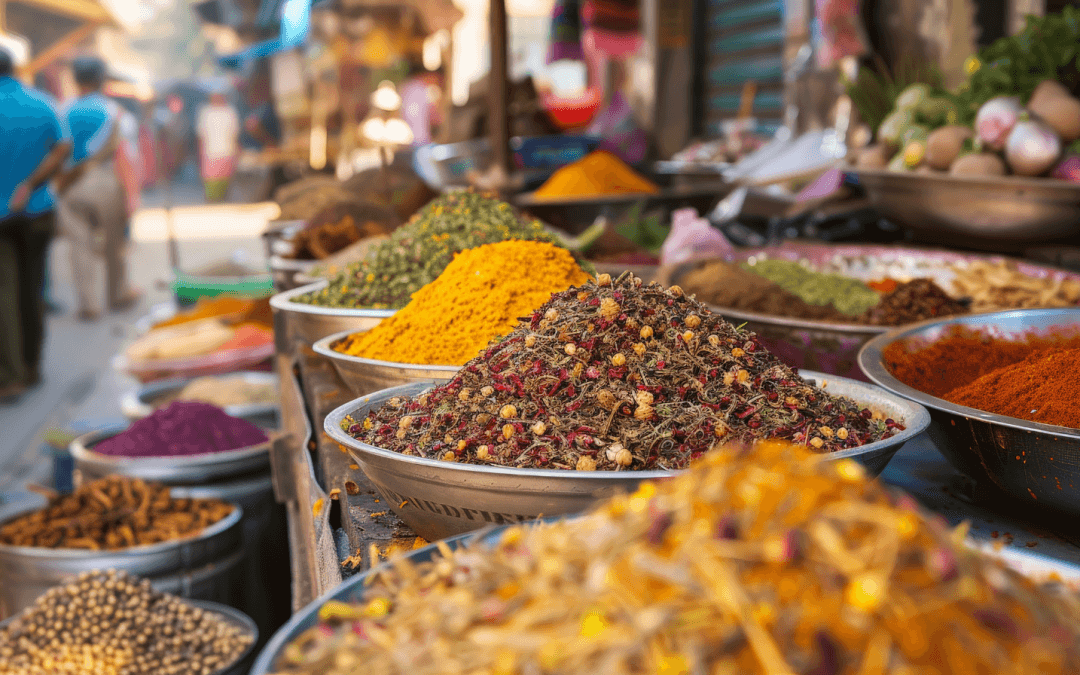 Understanding the costs in Zanzibar