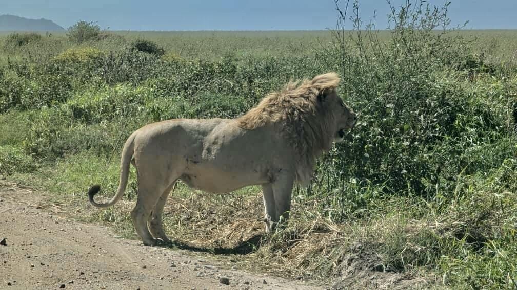 Book Zanzibar Packages