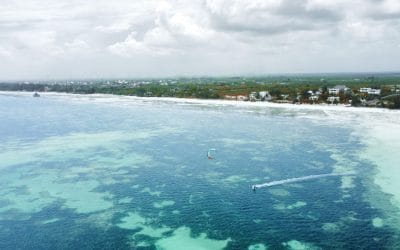 What to Know When Visiting Zanzibar