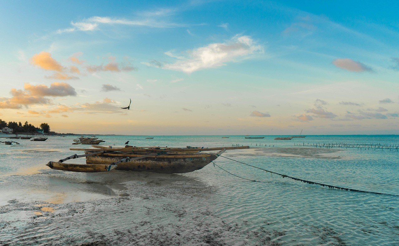 Day Trips from Paje Zanzibar